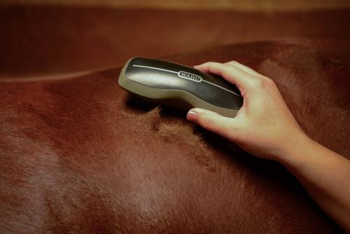 Show full view: Wahl Horse Rubber Curry Brush, Black slide 6 of 8