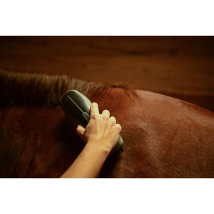 Wahl Horse Stiff Body Brush, Black
