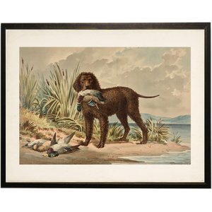 Antique Curiosities Curly Coated Retriever with Ducks Painting
