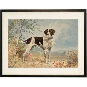 Antique Curiosities English Pointer Dog Painting