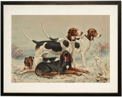 Antique Curiosities Foxhounds & Coonhounds Painting