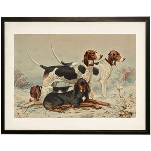 Antique Curiosities Foxhounds & Coonhounds Painting