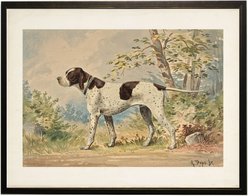 Antique Curiosities White & Brown Pointer Dog Painting