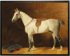 Antique Curiosities White Horse Oil Painting
