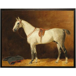 Antique Curiosities White Horse Oil Painting