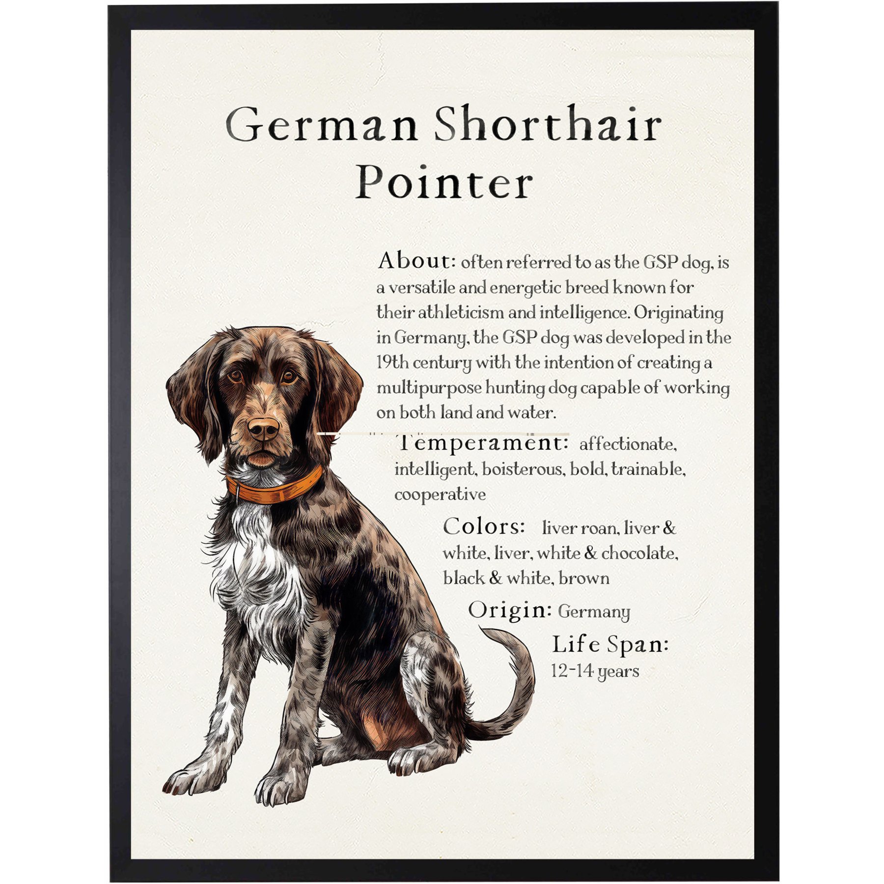 Antique Curiosities German Shorthair Pointer Dog Watercolor Print