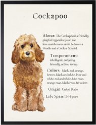 Antique Curiosities Brown Cockapoo Dog Watercolor Print