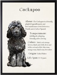 Antique Curiosities Black Cockapoo Dog Watercolor Print