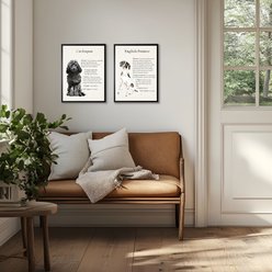 Antique Curiosities Black Cockapoo Dog Watercolor Print slide 2 of 2