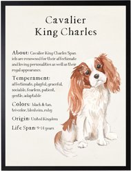 Antique Curiosities King Charles Dog Watercolor Print