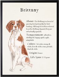 Antique Curiosities Brittany Dog Watercolor Print slide 1 of 2