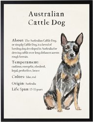 Antique Curiosities Australian Cattle Dog Watercolor Print