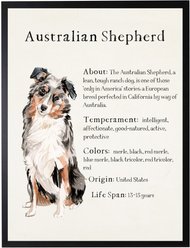 Antique Curiosities Australian Shepherd Dog Watercolor Print