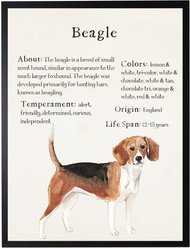 Antique Curiosities Beagle Dog Watercolor Print