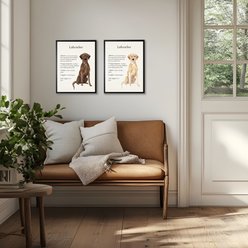 Antique Curiosities Chocolate Lab Dog Watercolor Print slide 2 of 2