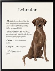 Antique Curiosities Chocolate Lab Dog Watercolor Print