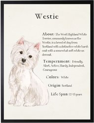 Antique Curiosities Westie Dog Watercolor Print