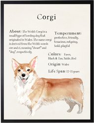 Antique Curiosities Corgi Dog Watercolor Print