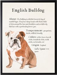 Antique Curiosities English Bulldog Dog Watercolor Print