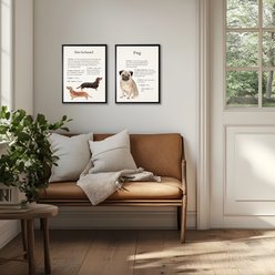 Antique Curiosities Pug Dog Watercolor Print slide 2 of 2