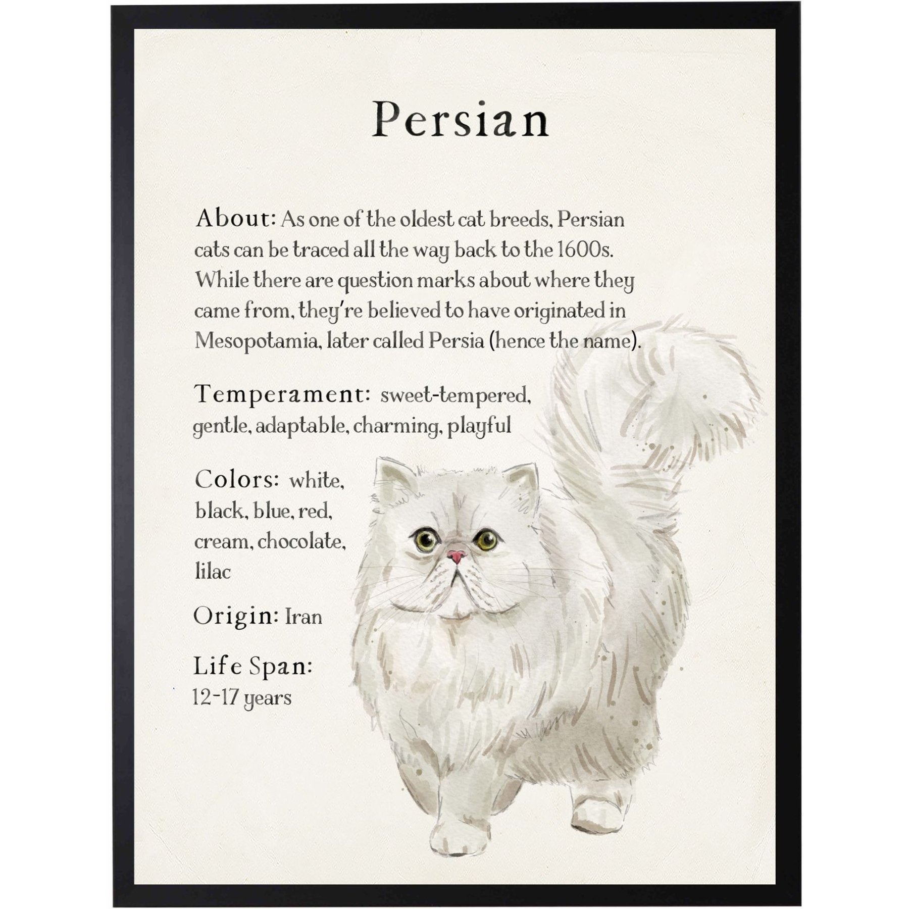 Antique Curiosities Persian Cat Watercolor Print