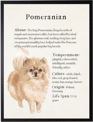 Antique Curiosities Pomeranian Dog Watercolor Print