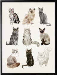 Antique Curiosities Multiple Cats Watercolor Print