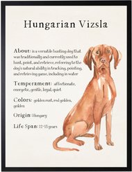 Antique Curiosities Vizsla Dog Watercolor Print