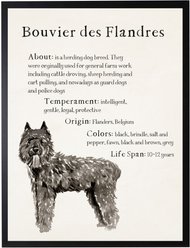Antique Curiosities Bouvier Des Flandres Dog Watercolor Print