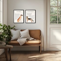 Antique Curiosities Great Dane Dog Watercolor Print slide 2 of 2