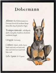 Antique Curiosities Dobermann Dog Watercolor Print