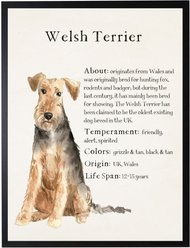 Antique Curiosities Welsh Terrier Dog Watercolor Print