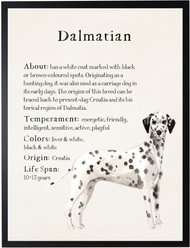 Antique Curiosities Dalmatian Dog Watercolor Print