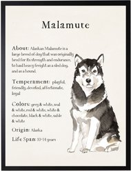 Antique Curiosities Alaskan Malamute Dog Watercolor Print