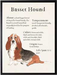 Antique Curiosities Basset Hound Dog Watercolor Print