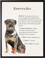 Antique Curiosities Rottweiler Dog Watercolor Print