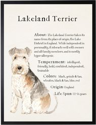 Antique Curiosities Lakeland Terrier Dog Watercolor Print