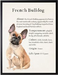 Antique Curiosities French Bulldog Dog Watercolor Print