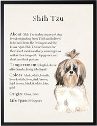 Antique Curiosities Shih Tzu Dog Watercolor Print