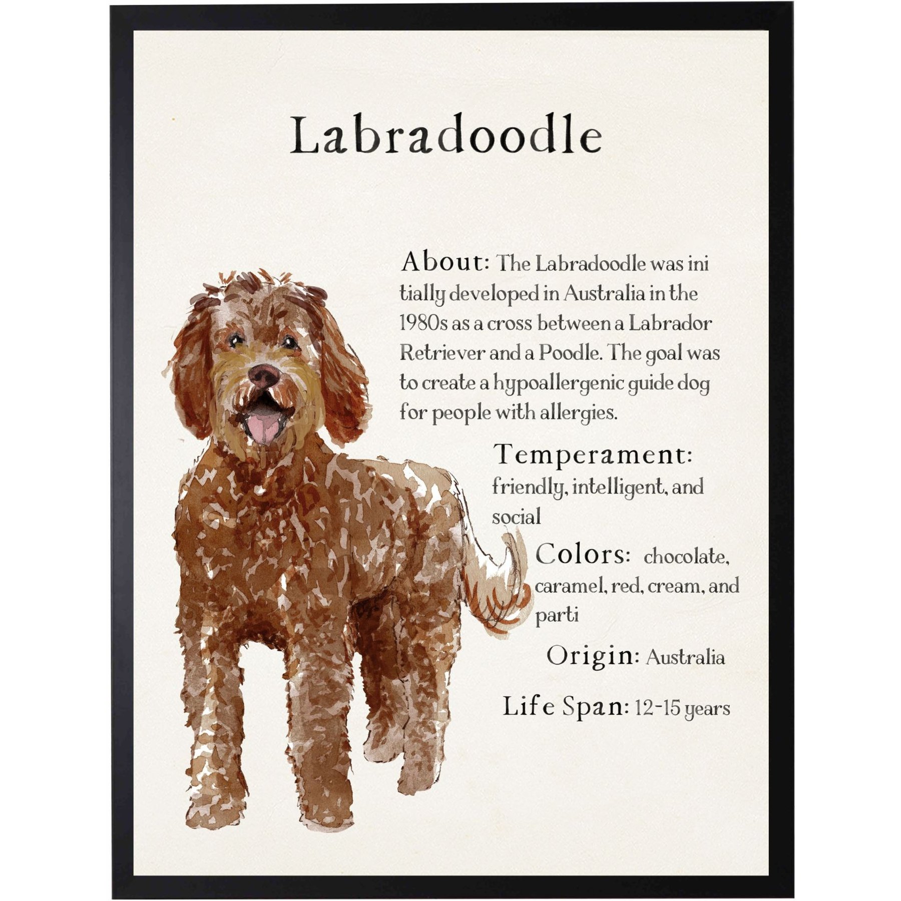 Antique Curiosities Labradoodle Dog Watercolor Print