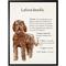 Show in main carousel: Antique Curiosities Labradoodle Dog Watercolor Print slide 1 of 3