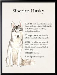 Antique Curiosities Siberian Husky Dog Watercolor Print