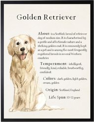 Antique Curiosities Golden Retriever Dog Watercolor Print