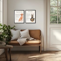 Antique Curiosities Vizsla Dog Watercolor Print slide 2 of 2