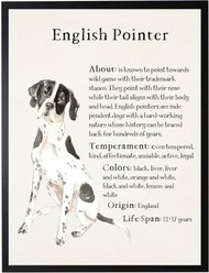 Antique Curiosities English Pointer Dog Watercolor Print