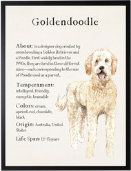 Antique Curiosities Golden Doodle Dog Watercolor Print