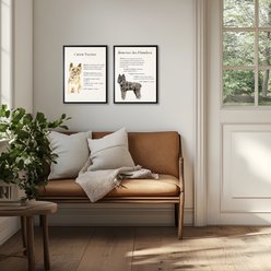 Antique Curiosities Bouvier Des Flandres Dog Watercolor Print slide 2 of 2