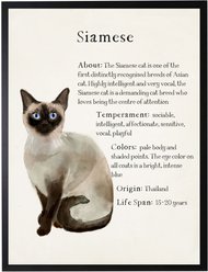 Antique Curiosities Siamese Cat Watercolor Print slide 1 of 2