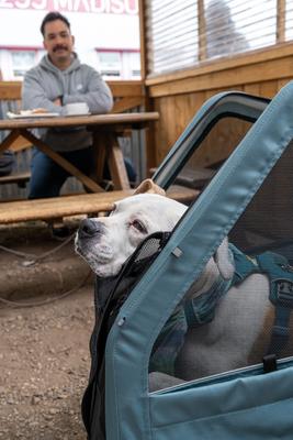 Show full view: Burley Bark Ranger Dog Bicycle Trailer, Blue Spruce, Standard slide 9 of 11