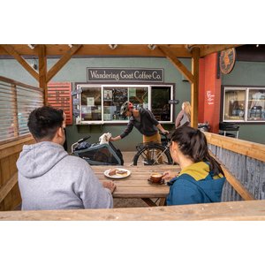 Burley Bark Ranger Dog Bicycle Trailer, Blue Spruce, X-Large